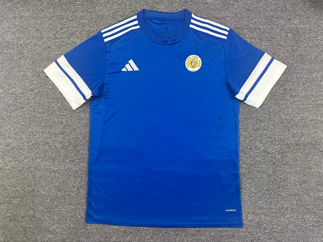 Romania Blue Home Football Jersey