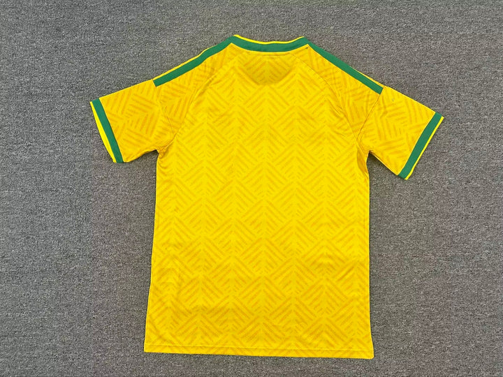 South Africa Yellow Football Jersey Home Edition